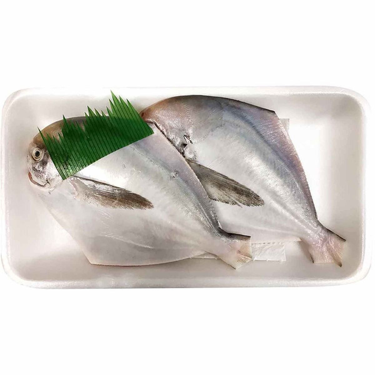 White Pomfret (M)   Boneless 3 LBS