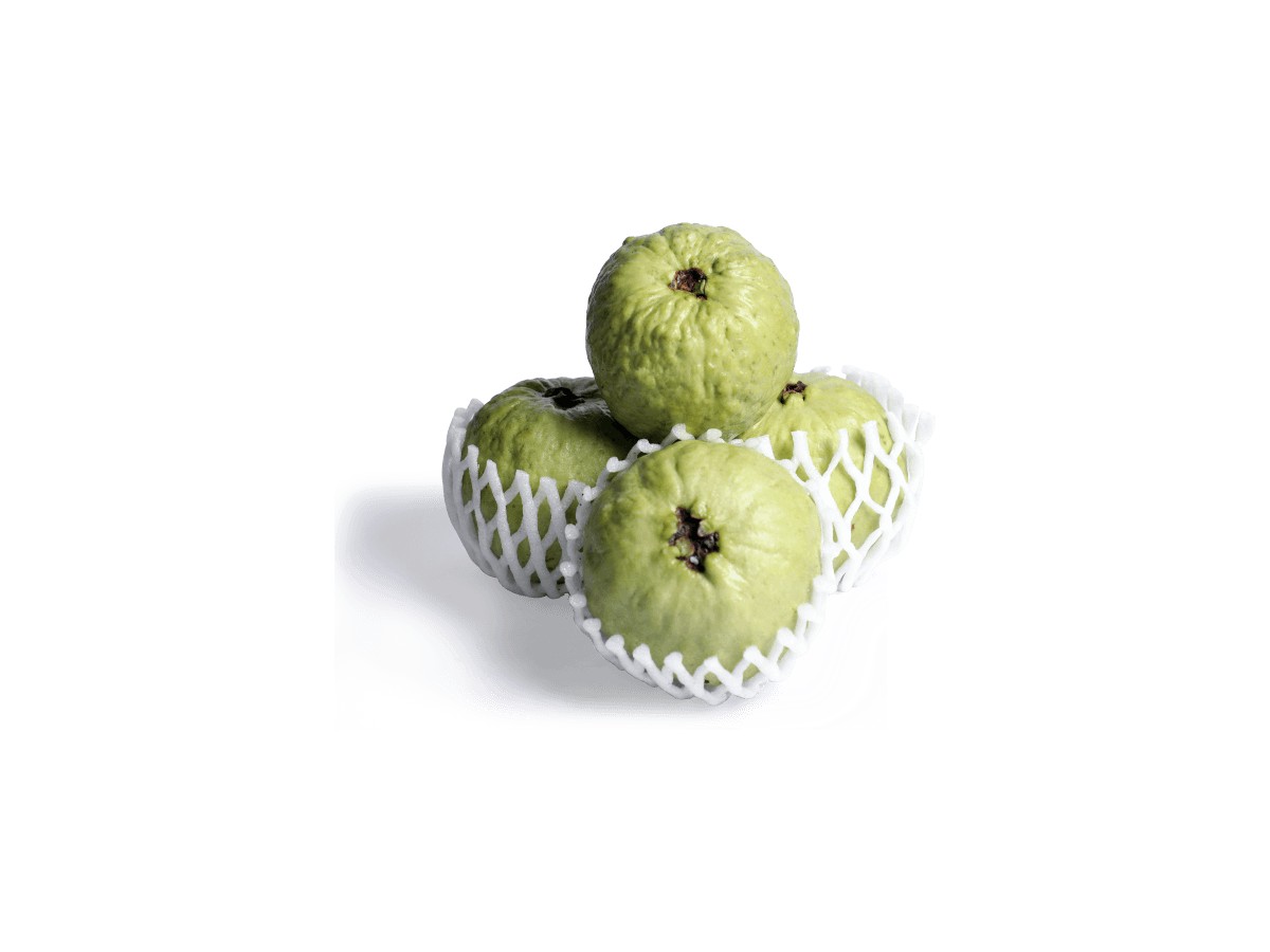 GUAVA TRAY 1 LBS