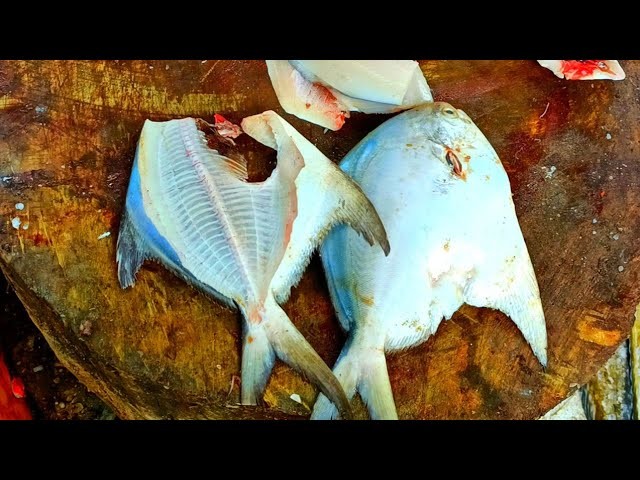 White Pomfret (M)   Boneless 4 LBS