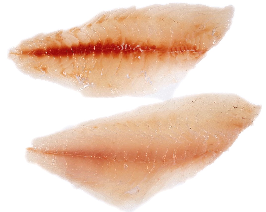 Porgies   Fillet 2 LBS