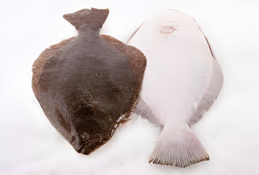 Jumbo Fluke   Rib Cube 2 LBS