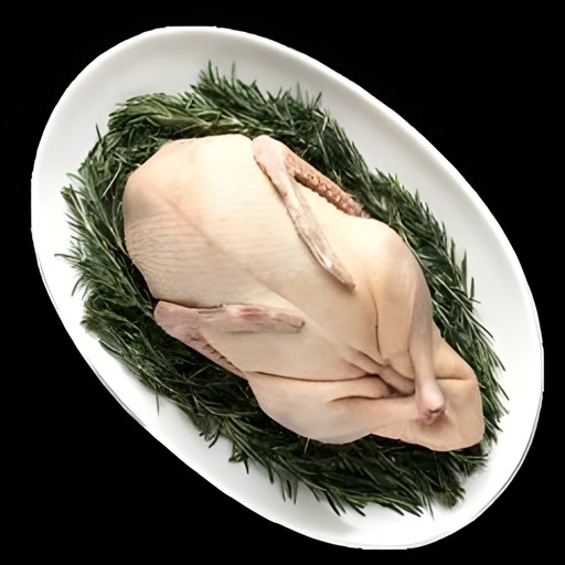 Fresh Duck   Premium Cut 4 LBS