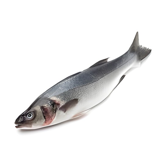 Bronzino   Thin Curry Cut 4 LBS