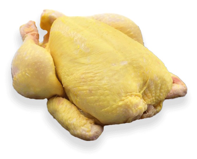 Fresh Yellow Chicken   Whole 3 LBS