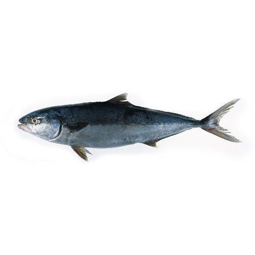Jack Fish   Chunky Cut 2 LBS