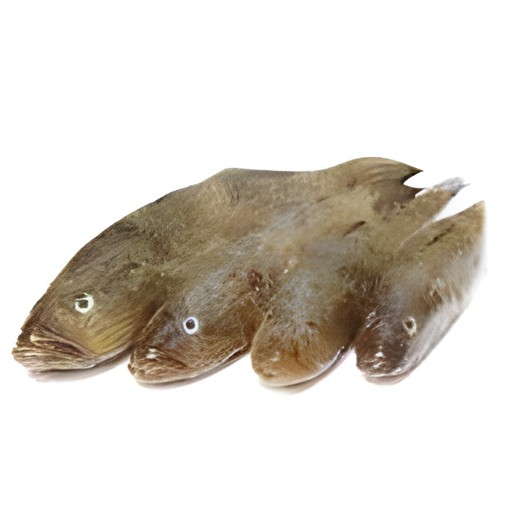 Fresh Water Fish Baila Block 500 GM