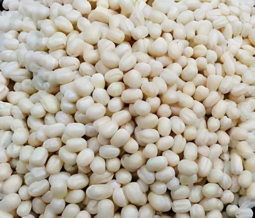Balaji Urad Gota 2 LBS