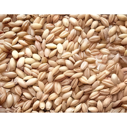 Balaji Haleem Wheat 2 LBS