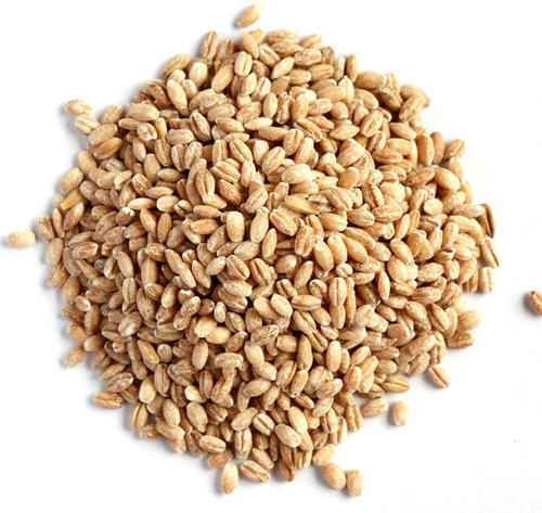 Balaji Barley Pearl 2 LBS