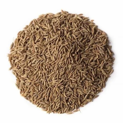 Orchid Cumin Seed 0.44 Lbs