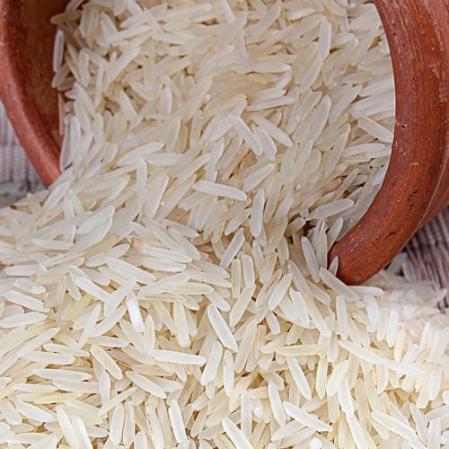 Gujrat 10 LBS