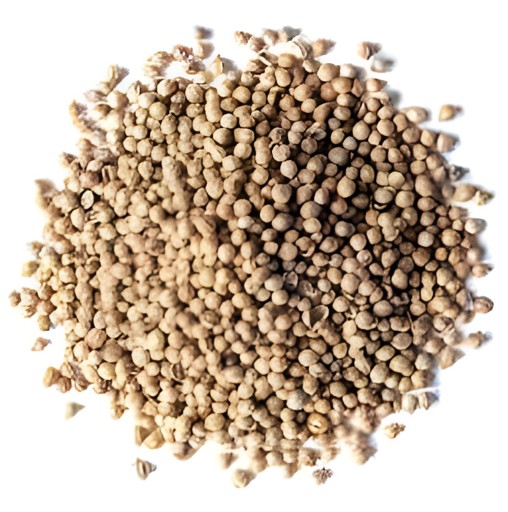 ORCHID CORIANDER SEEDS 2 LBS