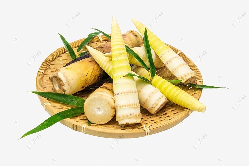 Rato Him Bamboo Shoot 925 GM