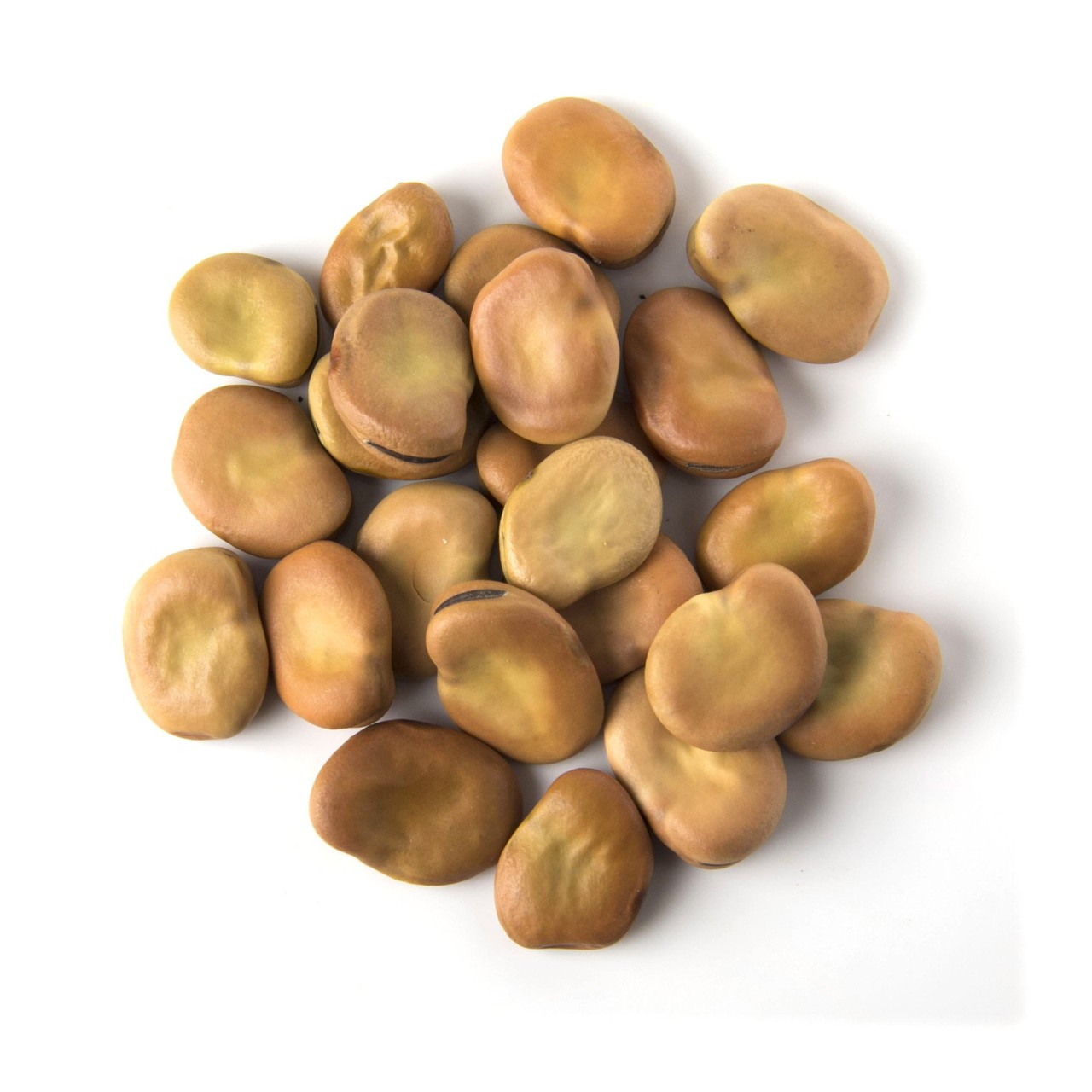 Whole Fava 1 KG