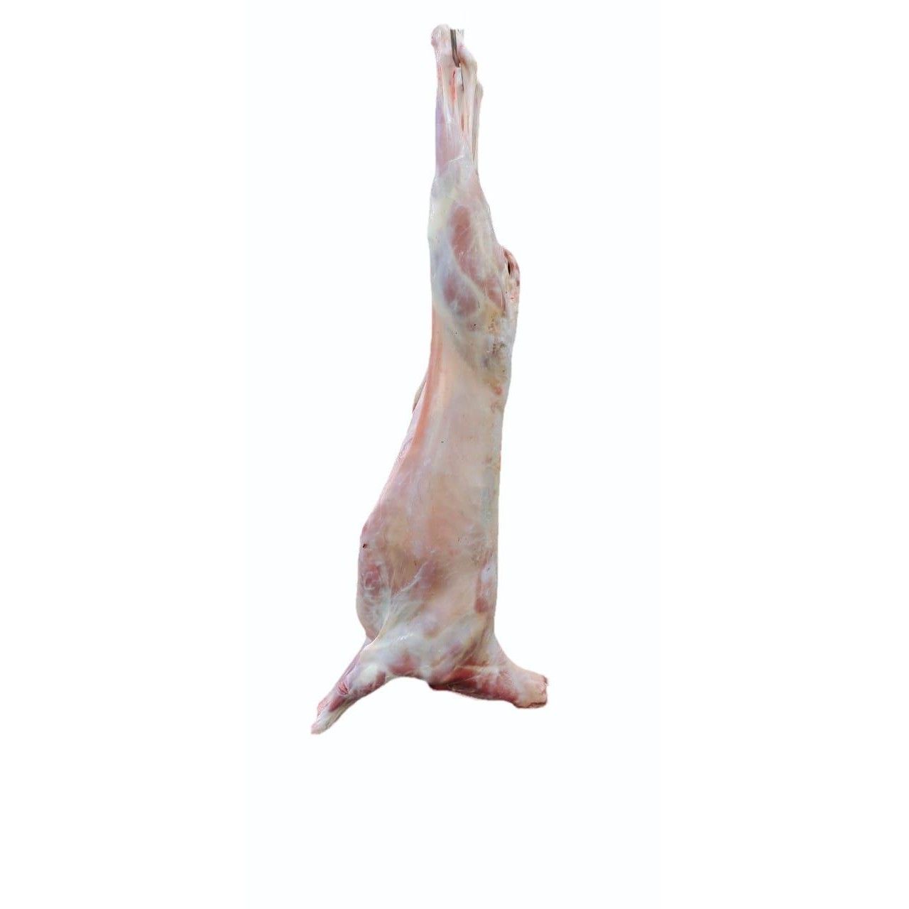 Grassfed Baby Goat With Bone