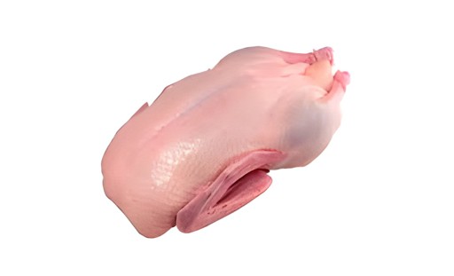 Fresh Duck Boneless   Style 3 1 LBS