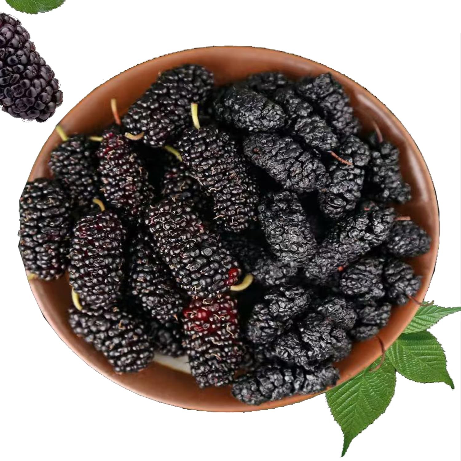 NZO BLK MULBERRIES 14 OZ