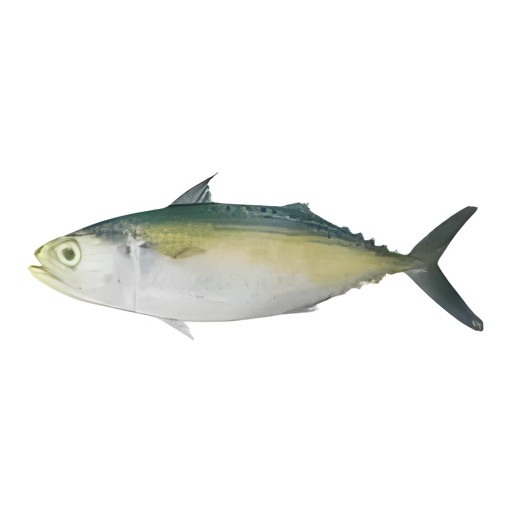 NIRU FROZEN MACKERAL WHOLE 2 LBS