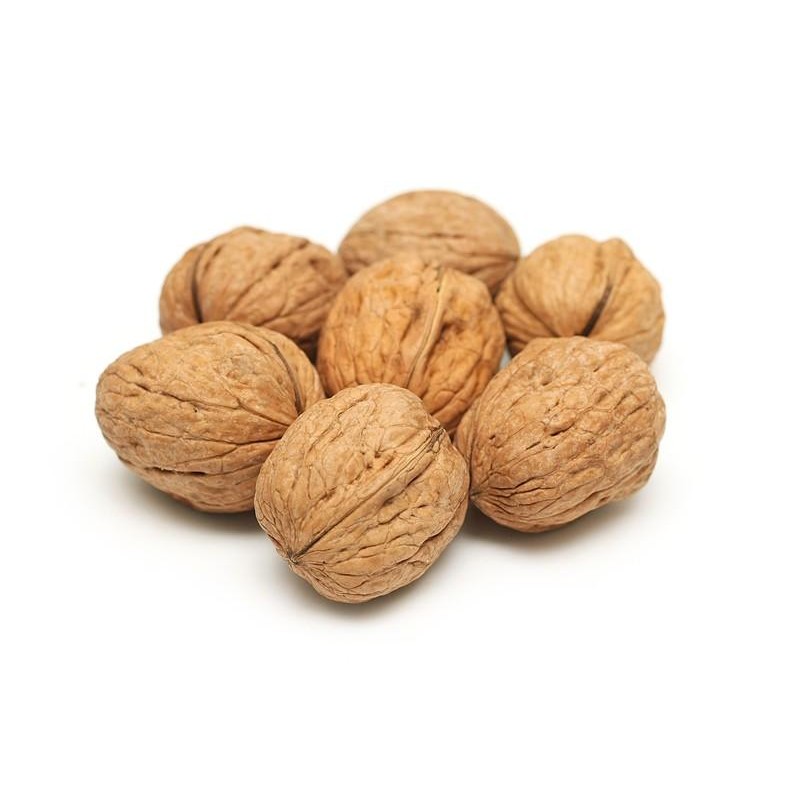 RAW WALNUTIN SHELL 12 OZ