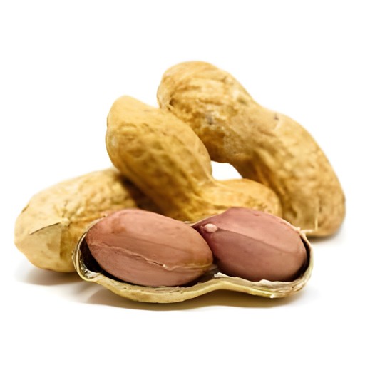 Peanut Raw  7 Oz