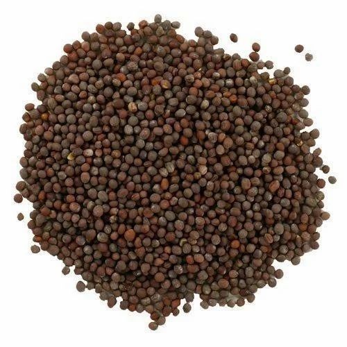 Keshav Mustard Seed  28 Oz