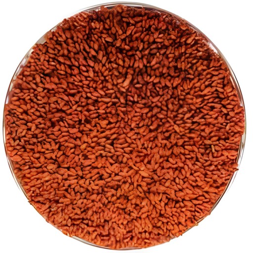 Keshav Asario Seeds 200 GM