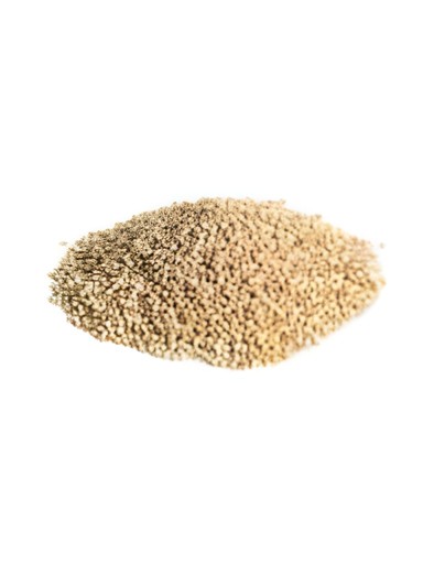 Keshav Quinoa