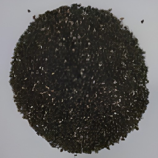 Keshav Chia Seed
