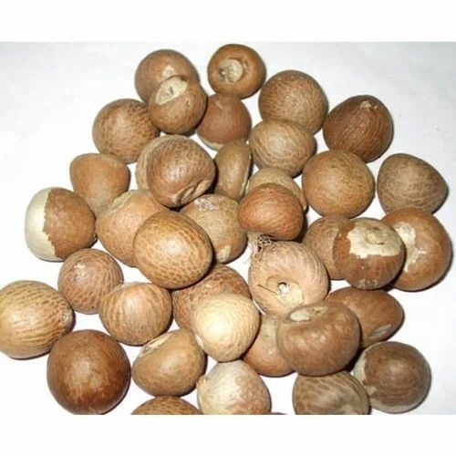 Shree Poojafal Whole  100 GM