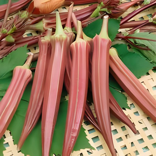 Rainbow Okra