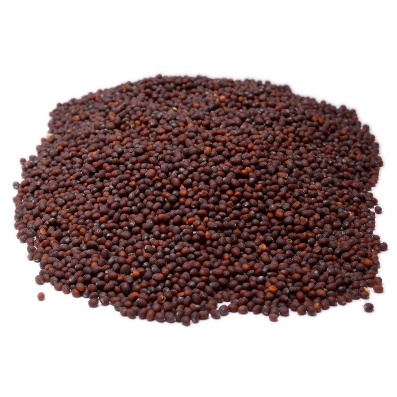 KALUSTYANS BROWN MUSTARD SEED ANDHRA 1 Lbs