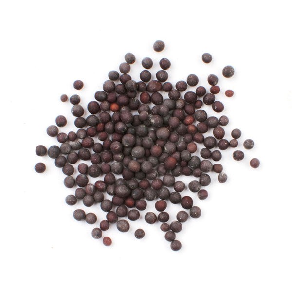 KALUSTYANS BLACK MUSTARD SEED 0.13 Lbs
