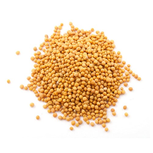KALUSTYANS YELLOW MASTARD SEED 5 Lbs