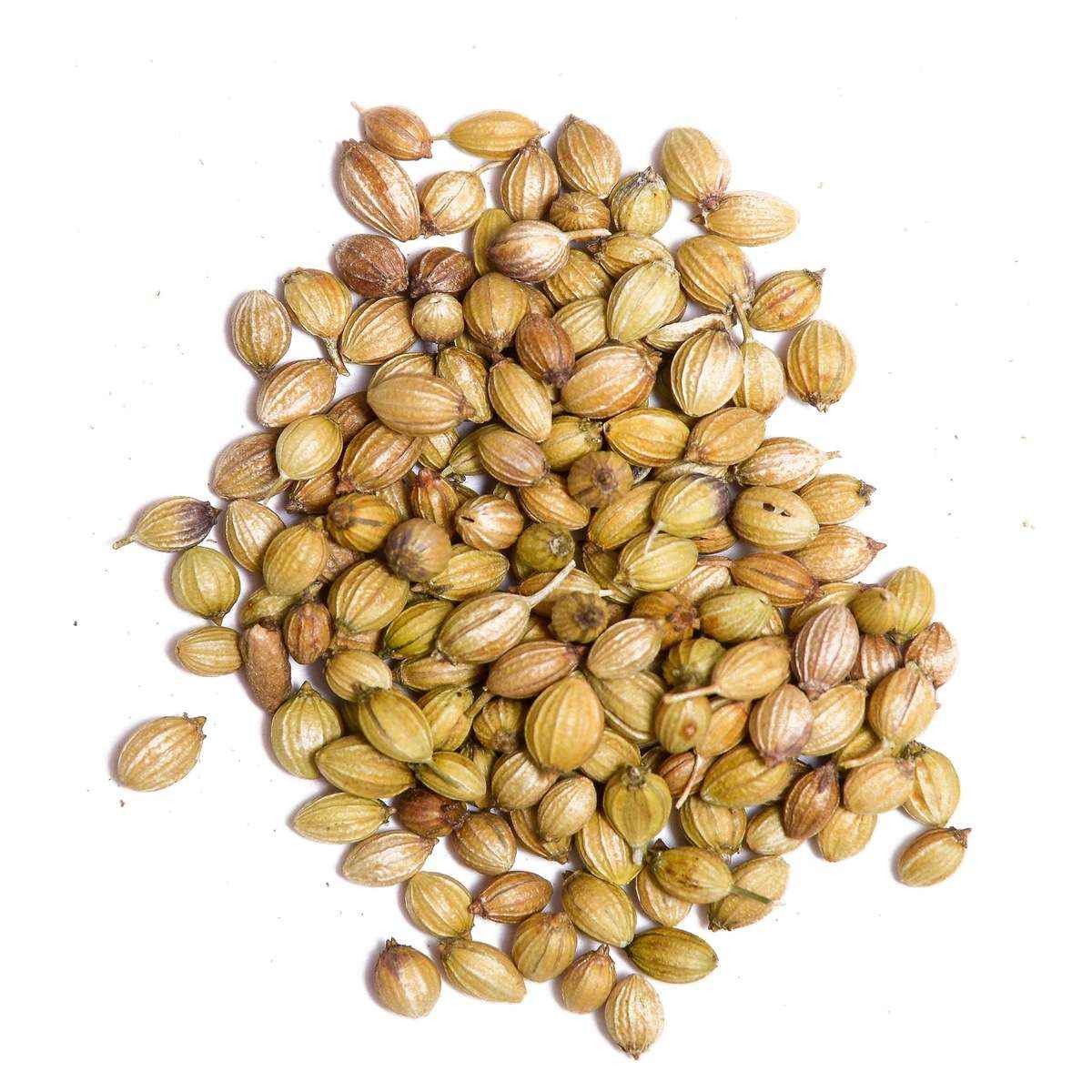 KALUSTYANS INDIAN CORIANDER SEED 1 Lbs