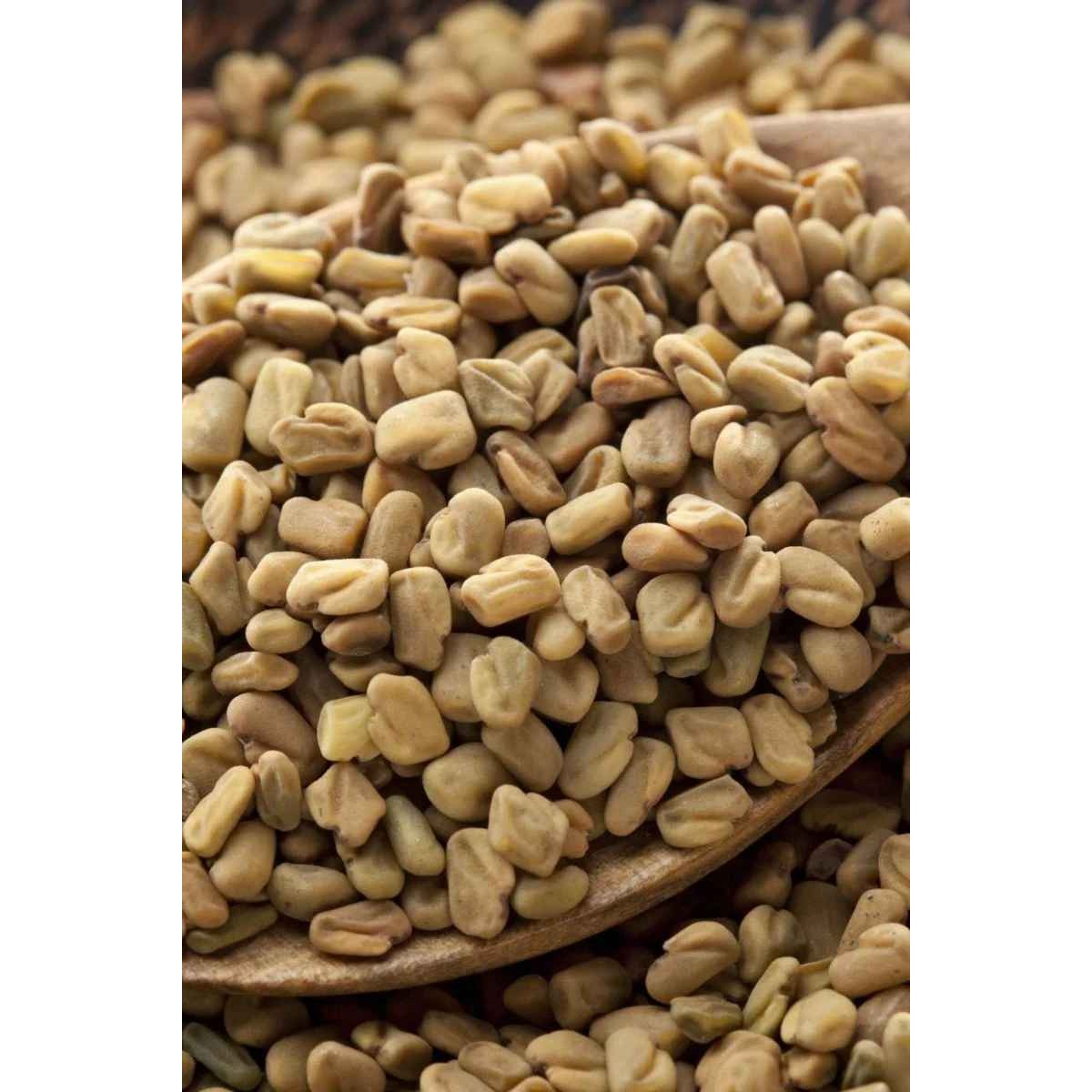 METHI SEED 400 GM