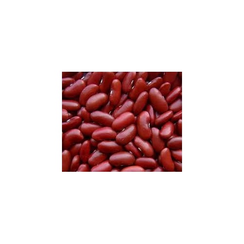 SWAGAT KIDNEY BEANS  4 LBS