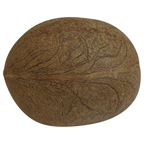Swagat Coconut Whole 1 PCS