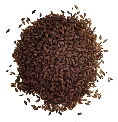 Swagat Roasted Barley 100 GM