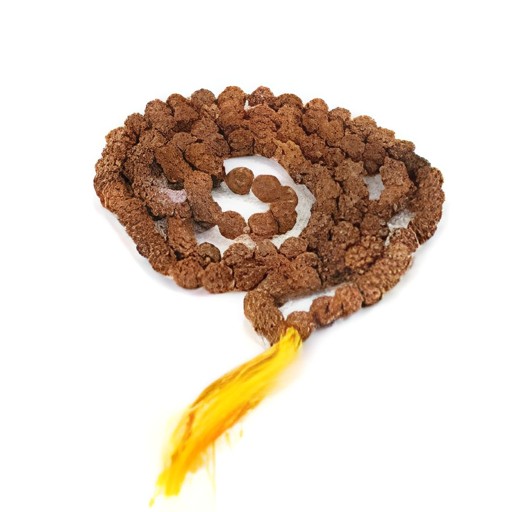 Rudraksh Mala (medium) 1 EACH