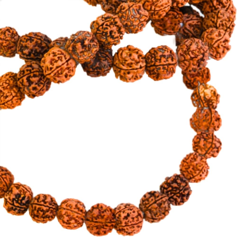 Rudraksh Mala (Big) Wirh Tikki 1 Each