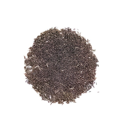 Dewan Kali Jeeri 100 GM