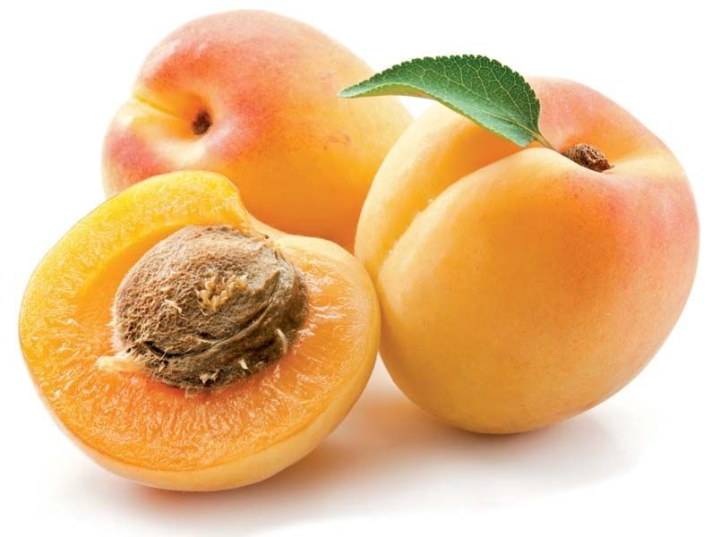Apricot 1 EACH