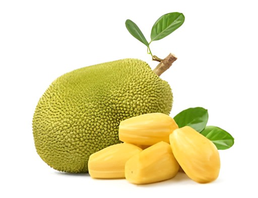 JACK FRUIT BIG 1 LBS