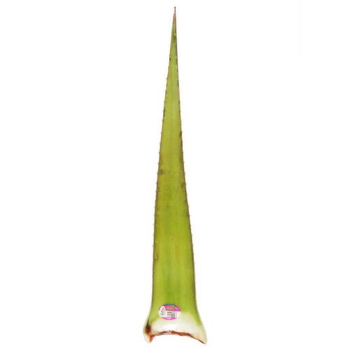 ALOE VERA 1 LBS