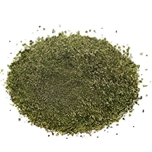 KALUSTYANS GRANULATED KELP ORGANIC 0.19 Lbs