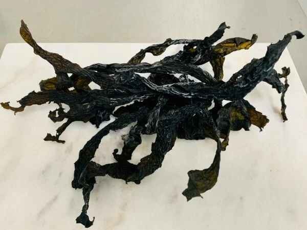 KALUSTYANS KOMBU PACIFIC SEAWEED LARGE CUT PIECES 0.09 Lbs