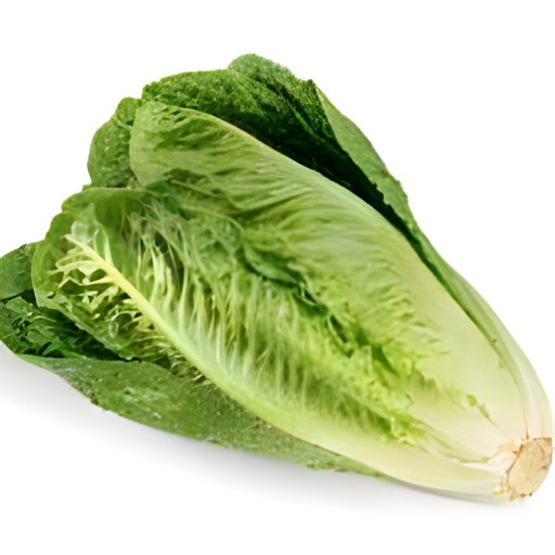 ROMAINE LETTUCE 3 COUNT
