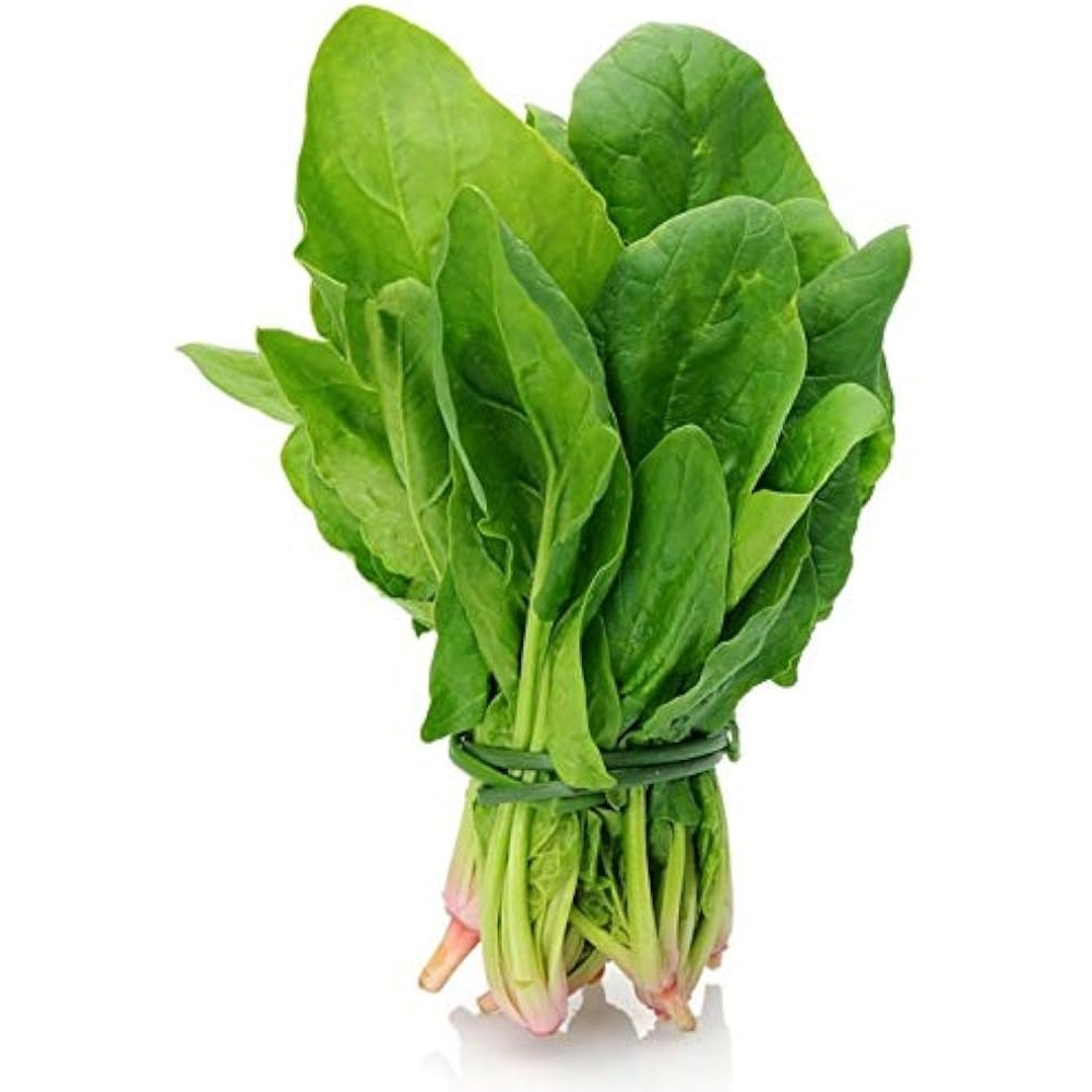 Spinach Ocean Mist 1 EACH