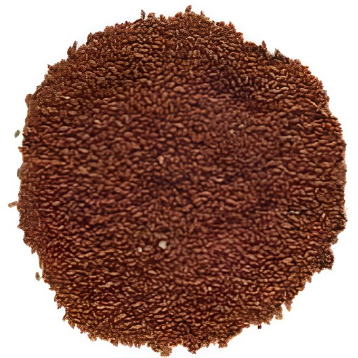 Himalayan Asario 7 OZ