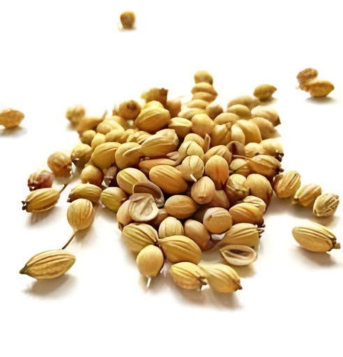 Himalayan Dry Coriander 100 GM